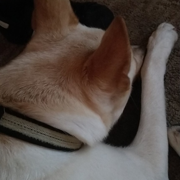 Meet your Posher, Matt - Picture 1 of 1